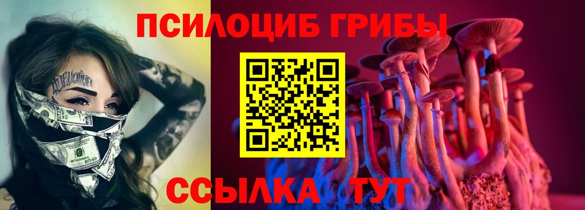 Галлюциногенные грибы Cubensis Новошахтинск